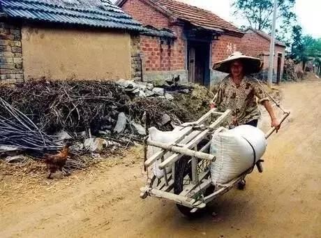 农民需缴纳15年的养老保险才能拿养老金！老农：没好事