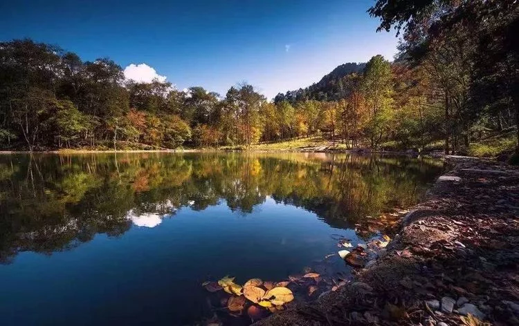 不输九寨的四季皆景,川藏线茶马古道的起点!【在线观看】