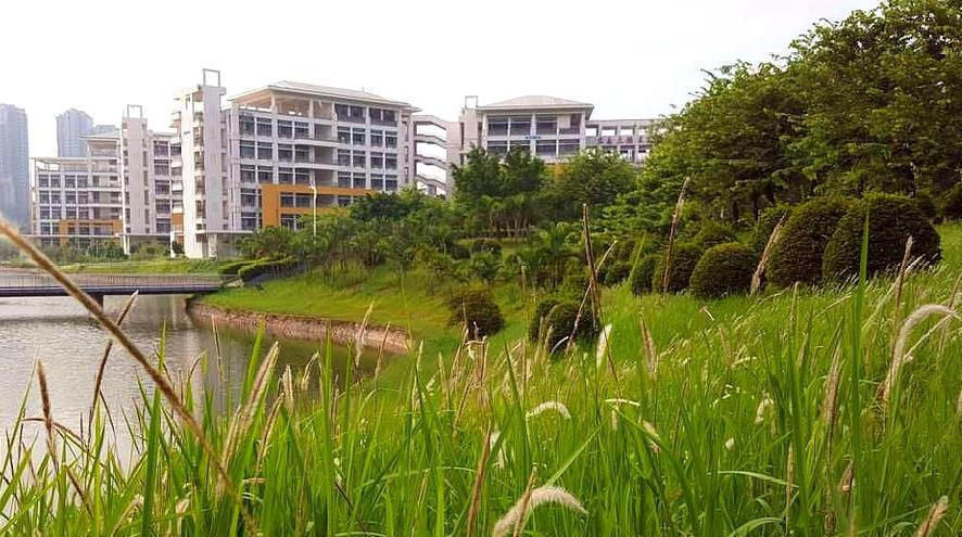  一小：农村一种高钙菜，一小把就要12元，南方多但还是供不应求