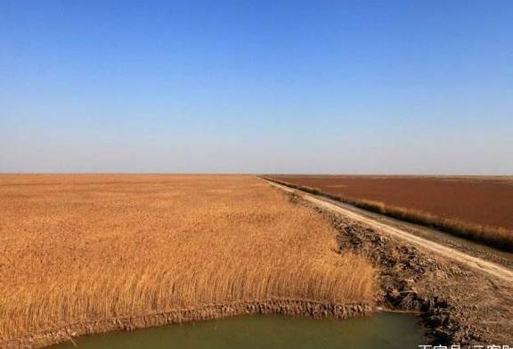 中国唯一没有山的城市，居然在这里