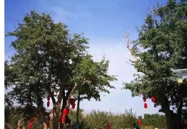  『自驾游』自驾游黄河石林，每一站都是风景……