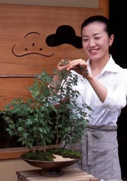  『花盆中』日本盆栽女高手山田香织