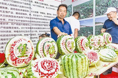 2018神木葵花文化节侧记