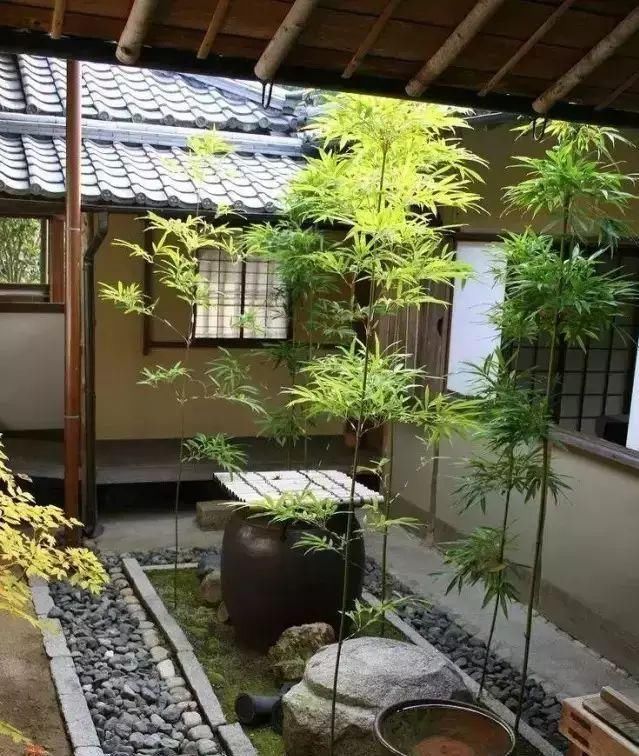 诗意心境，禅意鱼池，你所不知道的佛系庭院