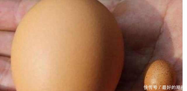 老母亲去鸡窝捡鸡蛋，结果看到其中一窝的鸡蛋后，顿时就傻眼了