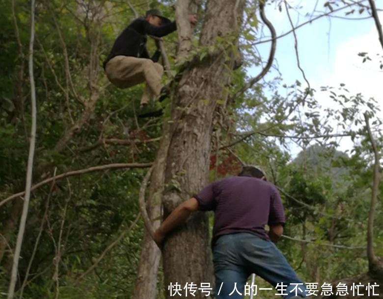 农民深山寻获六件“奇特宝贝”, 看看你能认识几种