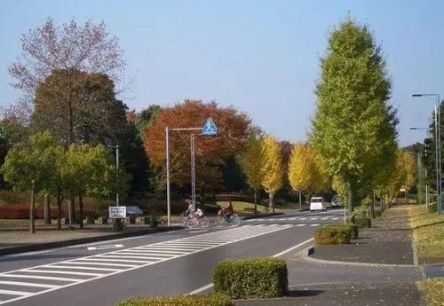 镜头下最真实的日本城市和乡村景色，你更向往哪种生活