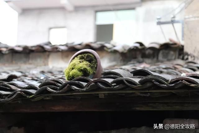 不输苏杭，这座峨眉山脚下的原始古镇，随手一拍就是风景