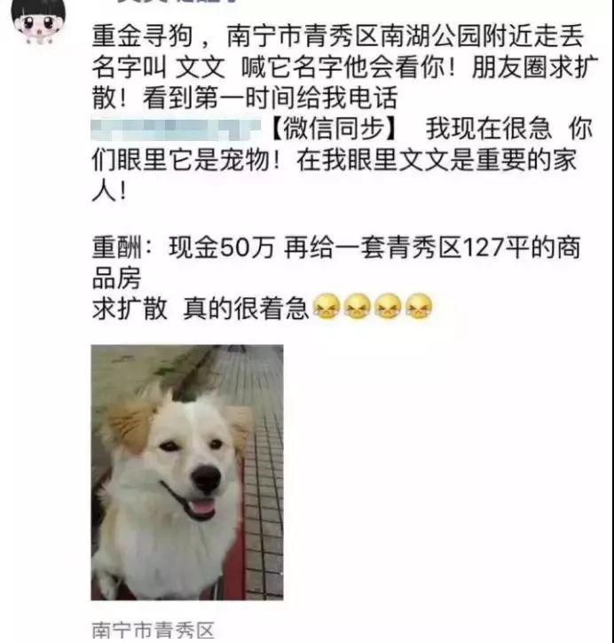 鹧鸪江大桥起火、永前路学生殒命…上半年柳州朋友圈十大谣言