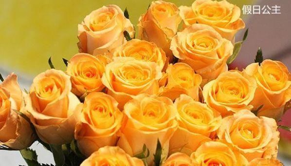 『快乐』秋天养花,就养“玫瑰精品”假日公主,开花金闪闪,寓意快乐美