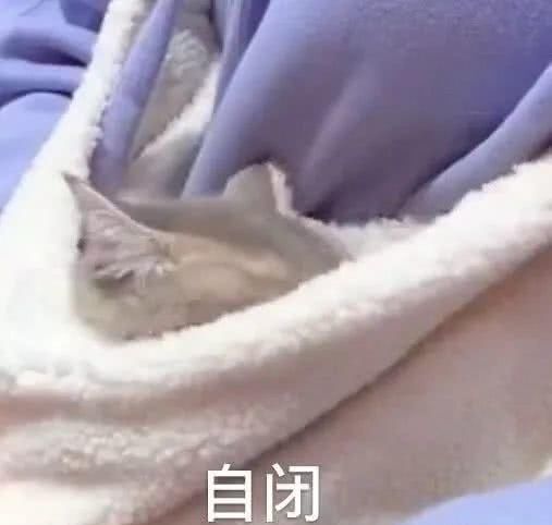  春天■春天了，你穿“这5件外套＋裙子”，巨时髦巨显瘦！