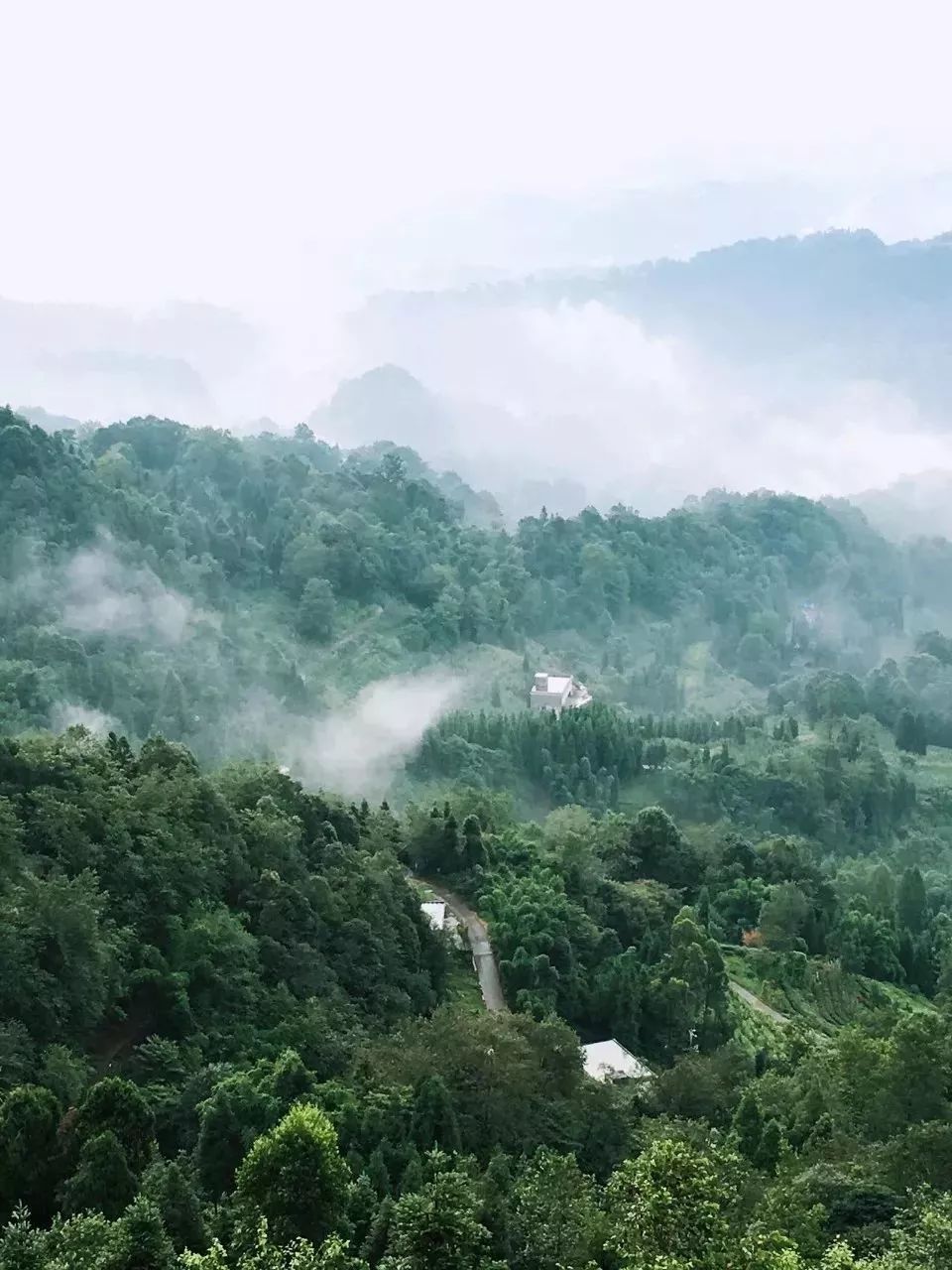 四川这座小城，叫板稻城亚丁，不输江南，藏着亚洲第一云海，高铁