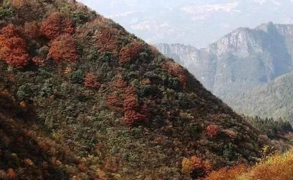 重庆主城最高峰是哪儿？缙云山？南山春天岭？你们都错了！