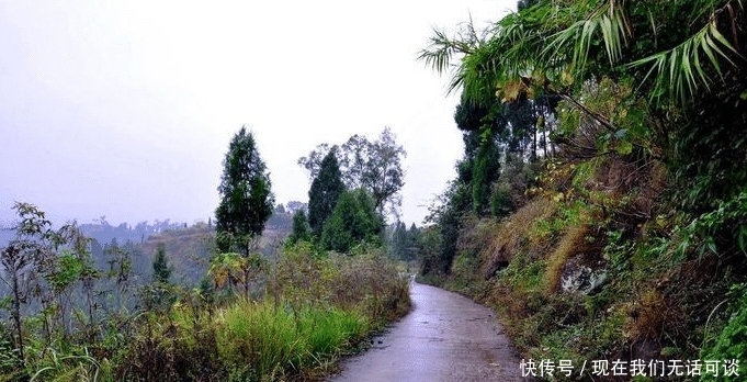 村村通变脸“村村痛”，路为何就不能多修1米？专家的解释靠谱？