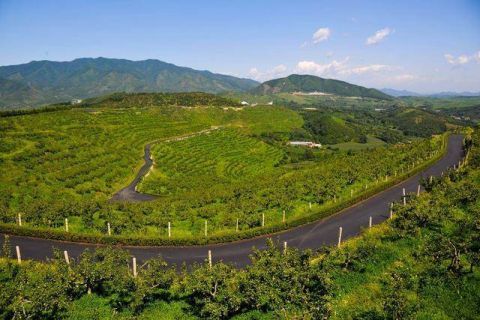  公里：想奔富，先修路！辽宁今年要改建改造7000公里村路