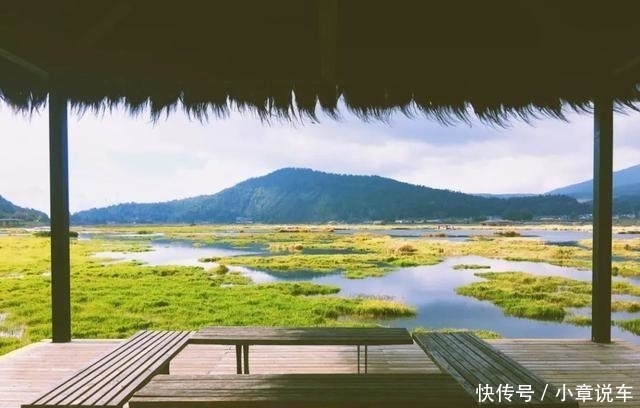 秋天的云南,哪个地方最美?这里的三千银杏,黄了整个世界