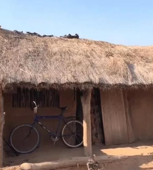  [2024年]五年后“农村”最缺的会是什么？为什么？