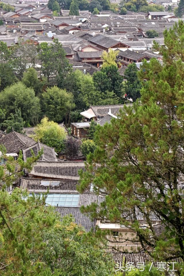 丽江古城80元维护费收了这么多年，但束河旁的梦幻水秀却坚决免费