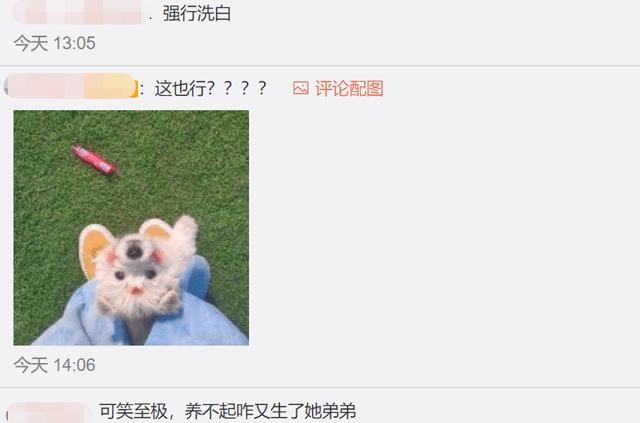  「技巧」观赏鱼养顺以后，不必去随便猜疑，自身的喂养技巧和过滤装置