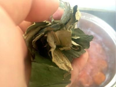 晨起空腹喝一杯，加速新陈代谢一整天，10天腰围小一圈，健康减肥