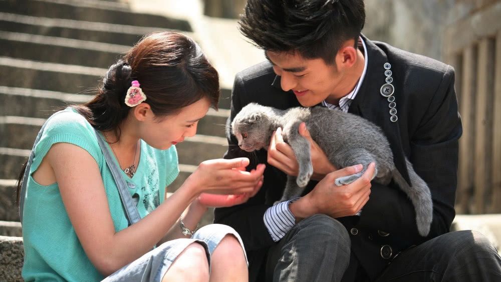 张恒和郑爽没有分手