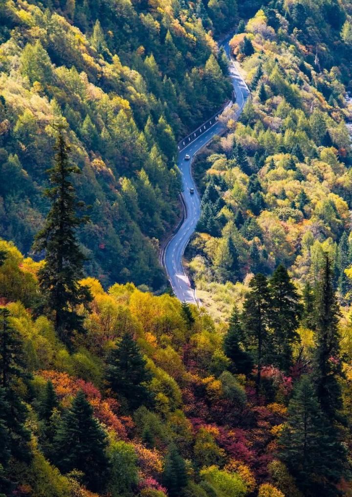 我的后半生,再穷也要去旅行