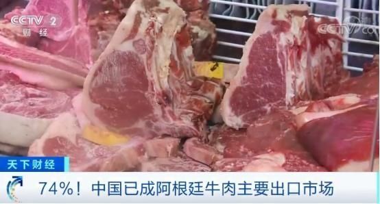 74%!中国已成阿根廷牛肉主要出口市场