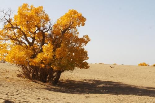 中国十分美的赏秋地,风景美如画,你去过几个地方?