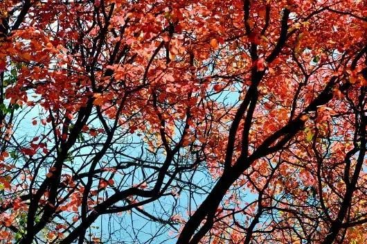 《延禧攻略》竟把陕西的陕西灵秀美景藏了进去！