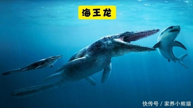 曾经在地球上出现过的10大巨型海洋恐龙