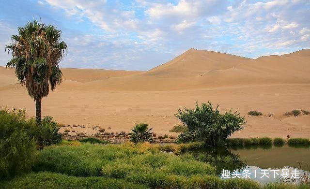 中国用几十年干掉一片千年沙漠，联合国坐不住了怎么做到的