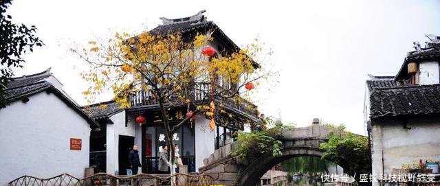 《都挺好》除了演员精湛的演技之外，她的美却没人发现！