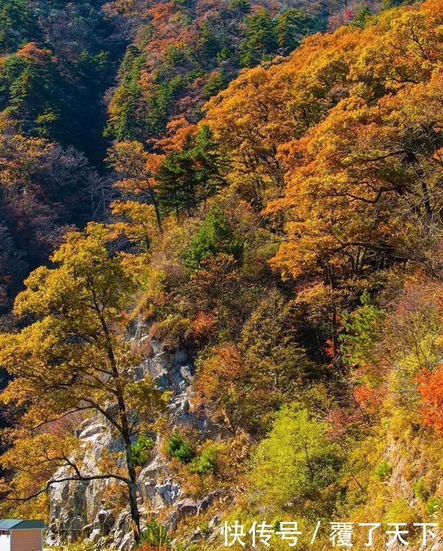 安徽旅游:大山深处一抹红,马丁公路、马鬃岭秋色美翻了