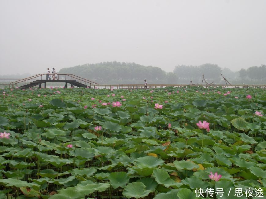 河北最奇葩城市：人口千万经济却不如县级市，号称中国冠军第一城