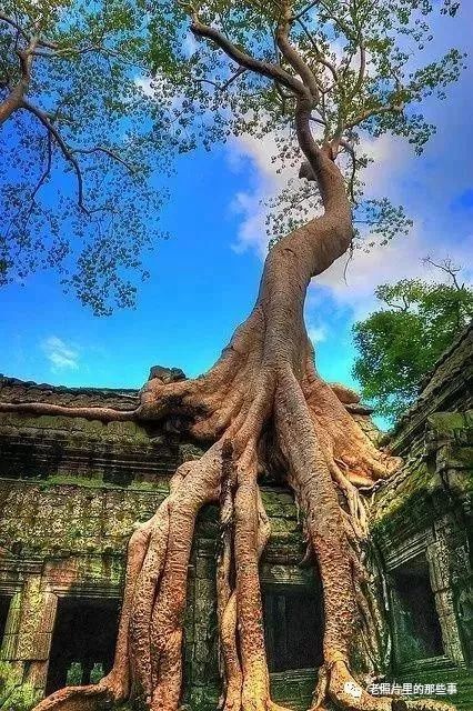 你肯定没见过的奇景照片！太震撼太壮观了！值得收藏