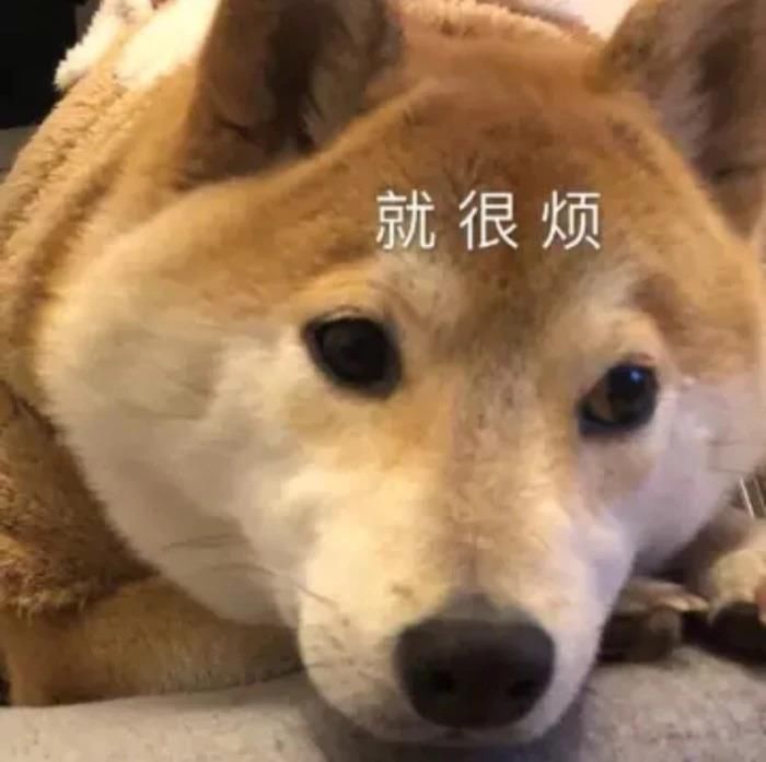 “你这个是肿眼泡，哭不出邓伦那样的双眼皮的。”