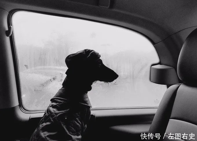 「摄影师」对摄影师而言,摒弃色彩会让视觉效果更加纯粹