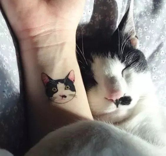 纹身|怎样的图案最不容易跟别人撞?