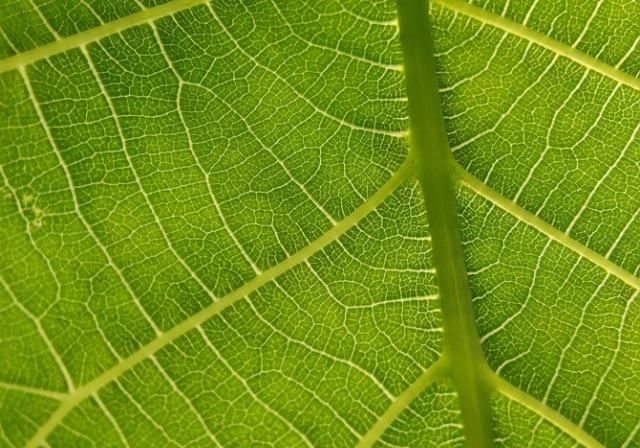  「再次」“旗舰杀手”的再次蜕变 一加8 Pro拍照专项评测