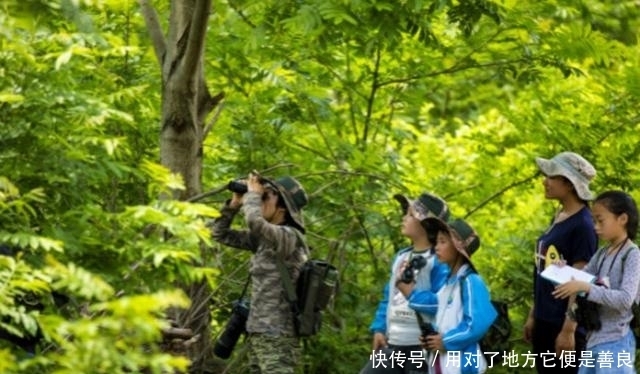  「誉为」湖北第25个县级市设立，被誉为“鄂中绿宝石”