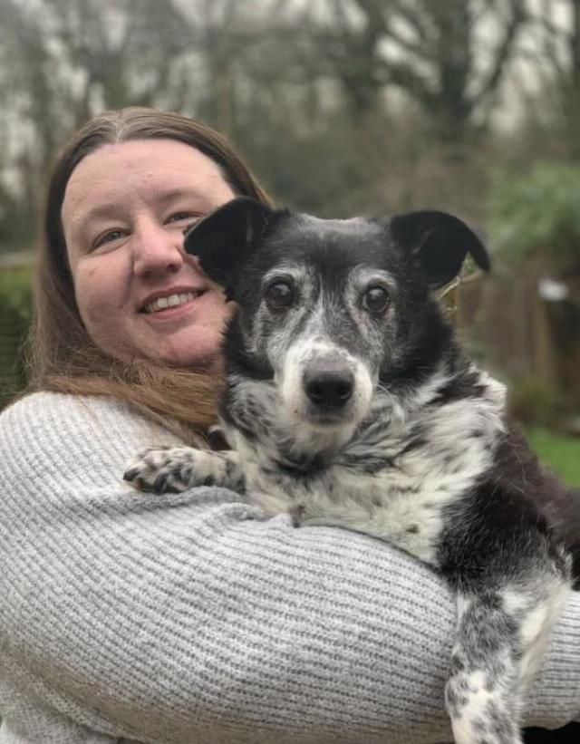  寿星：英国史上最长寿的一只狗狗寿星已经21岁了，相当于人类的147岁