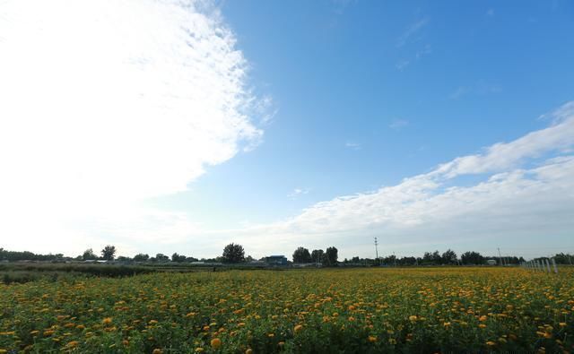 想知道怎么拍摄延时摄影吗？随手出大片！摄影入门必读-8
