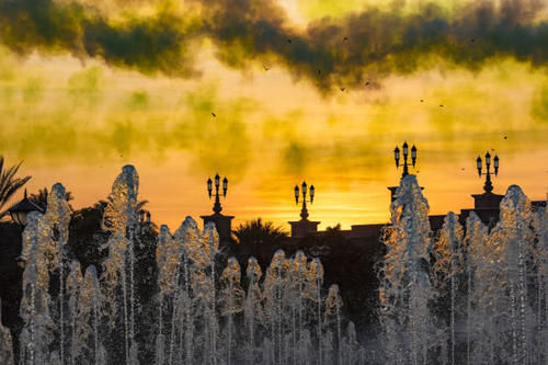 阿布扎比皇宫大酒店谁给认定的，你说八星级就是八星级？