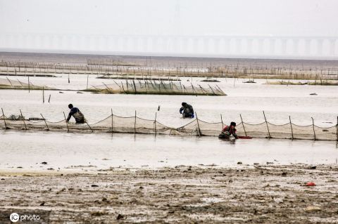  枯期@鄱阳湖跌破8米水位进入极枯期