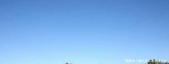 有人做到了无成本养殖，这个农场主年赚几百万