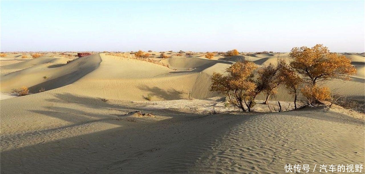 我国在塔克拉玛干沙漠,投资上亿种下大量植物,如今成了什么样?