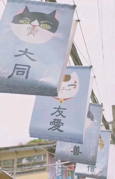  [好久不见]全面屏壁纸·聊天背景图·美文诗：待到春暖花开，说声“好久不见”