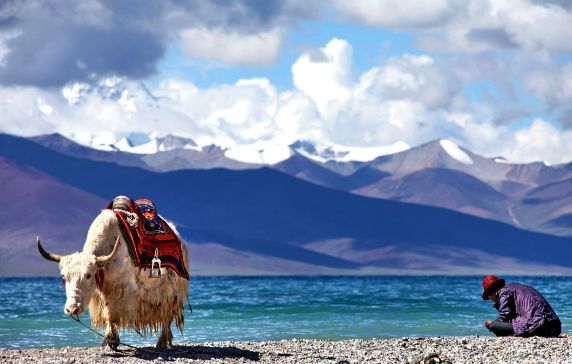 川藏线“穷游”背后，有多少你不知道的交易？别让梦想害了自己！