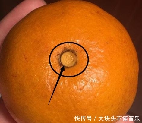  「进来」教你如何浪费10分钟，点进来看看这些有趣但无用的冷知识就成功了