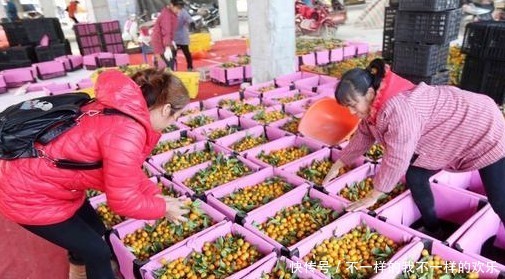  【提前】未来2年，4个农村新兴职业或许很挣钱，但门槛稍高，农